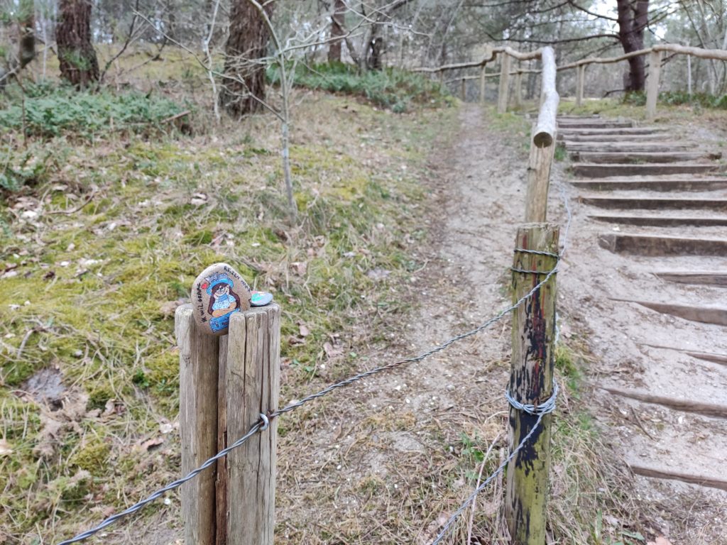 Een beschilderde steen die verstopt is in een paal langs een wandelpad.